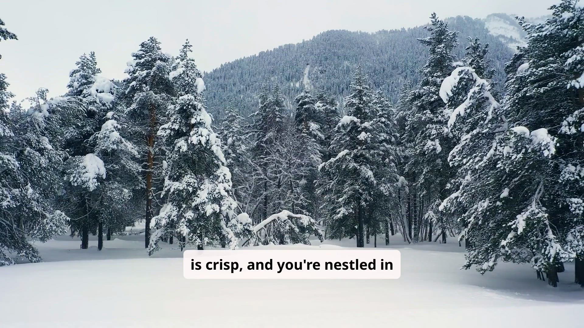 Video thumbnail for quick soups to make in your RV while winter camping