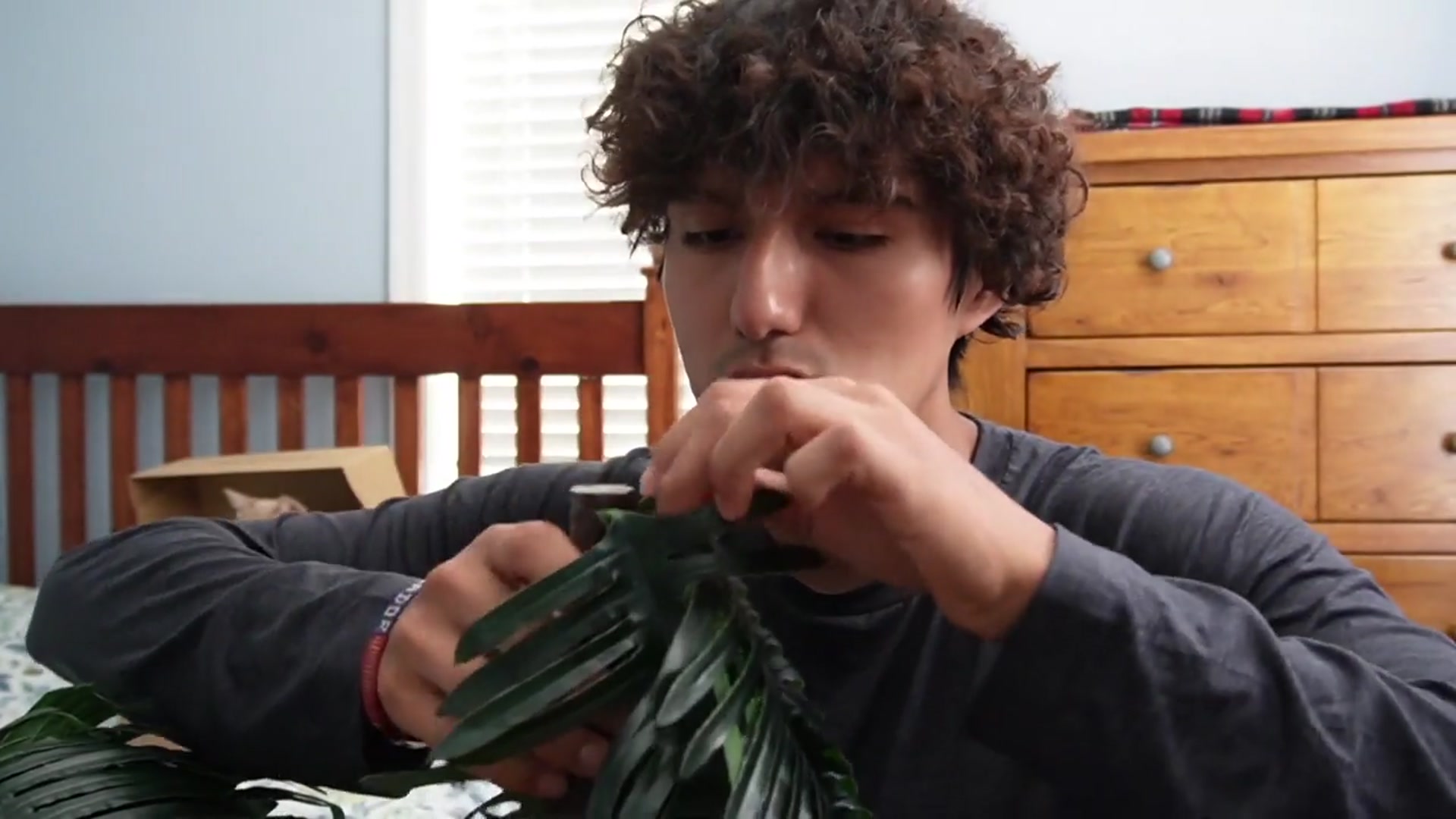'Video thumbnail for Solar Lighted Artificial Palm Tree Review'