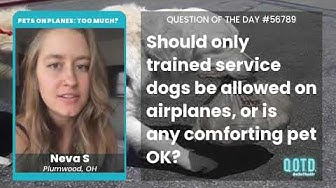 Video thumbnail for Neva S wants anyone to take their support animal, but worries about fitting them on the plane.