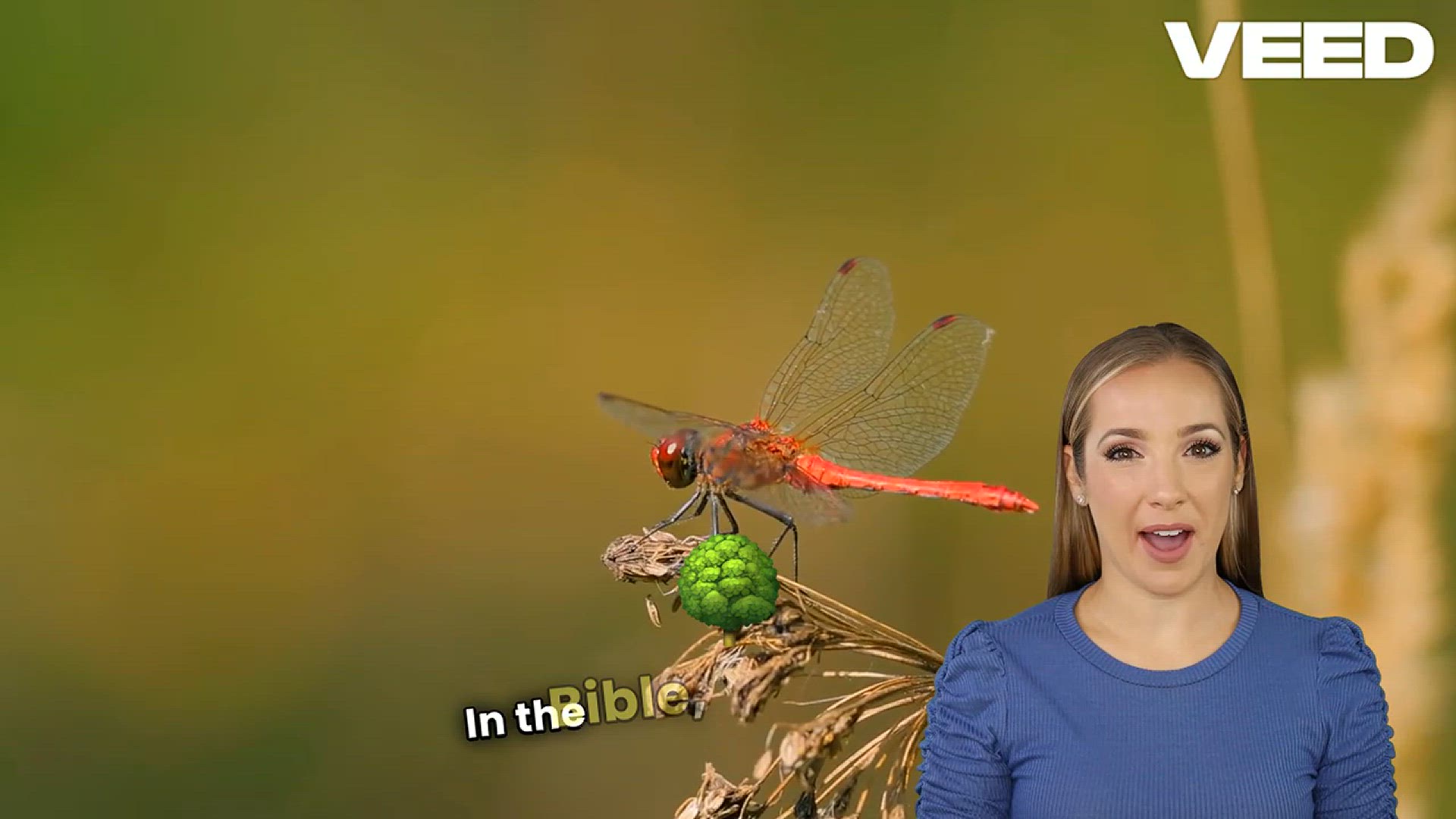 'Video thumbnail for Discover 20 Biblical Meanings of Dragonflies'
