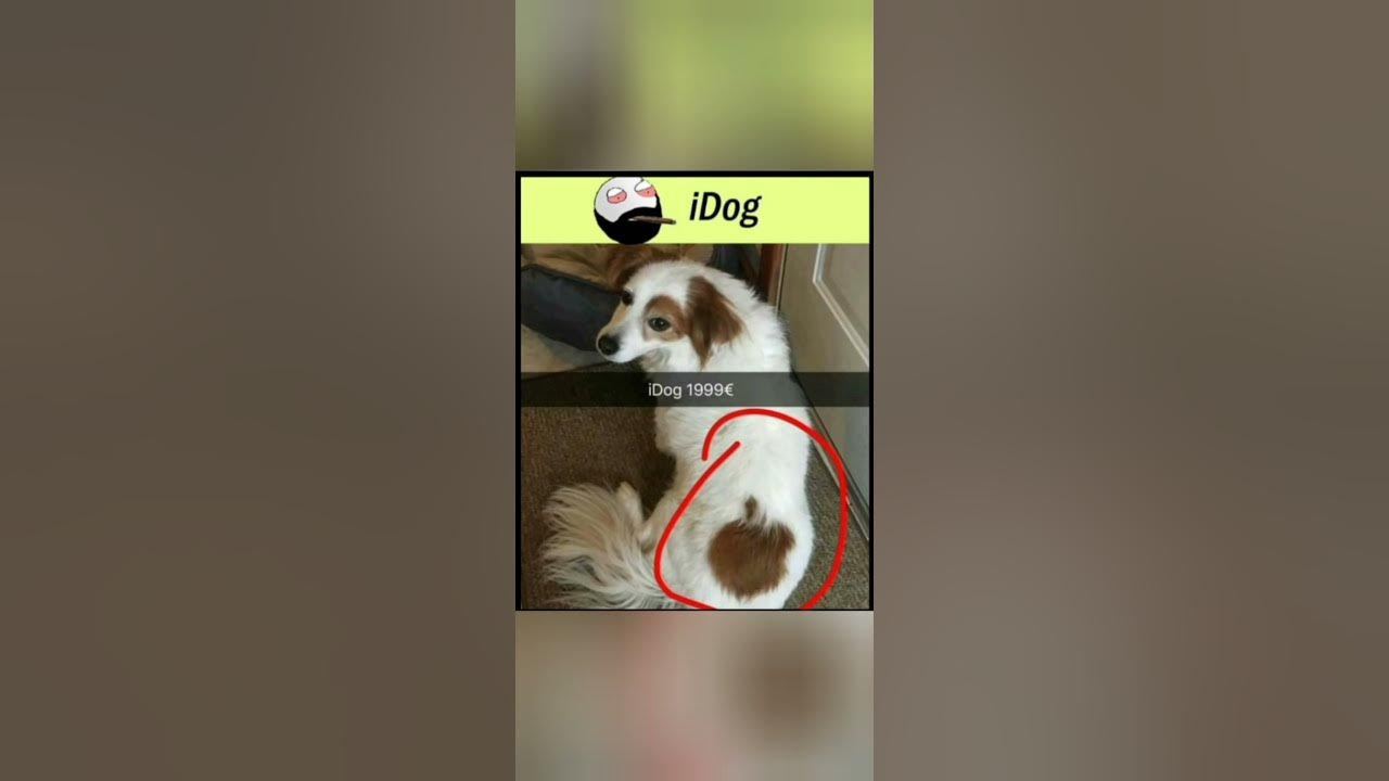 'Video thumbnail for funny memes that will make you laugh #471 || legend memes || funny relatable memes 😃 #shorts'