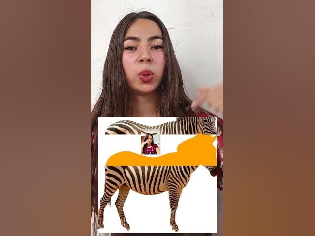 'Video thumbnail for Reto difícil #retos #Entretenimiento #desafio #viralreels'