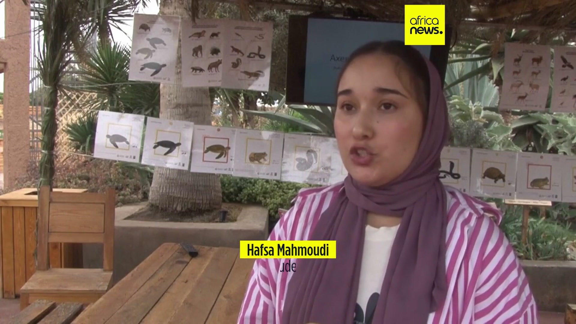 'Video thumbnail for In this Moroccan crocodile park, children learn about the environment'