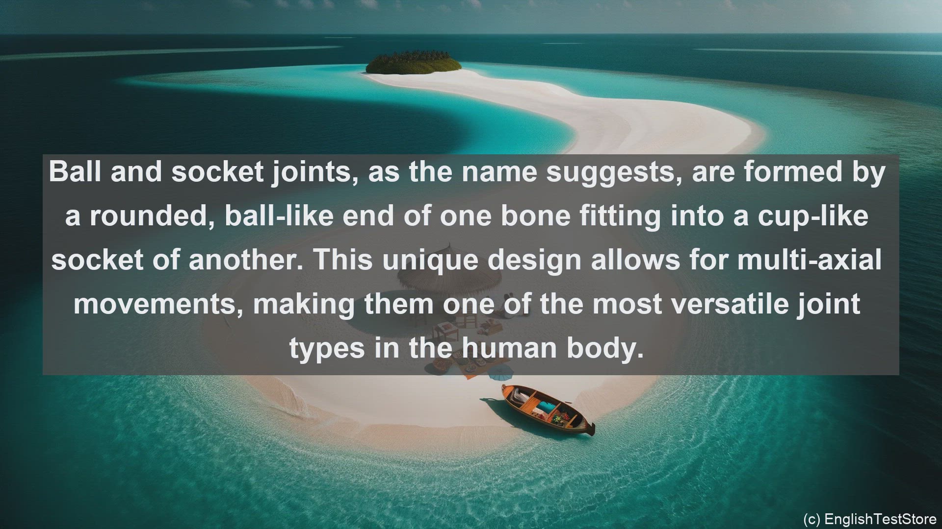 'Video thumbnail for Balland socket joints in science  definition and examples'