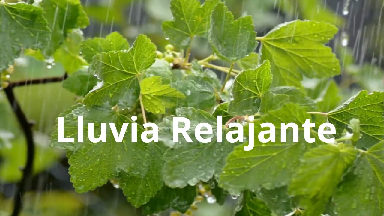 Video thumbnail for Lluvia Relajante