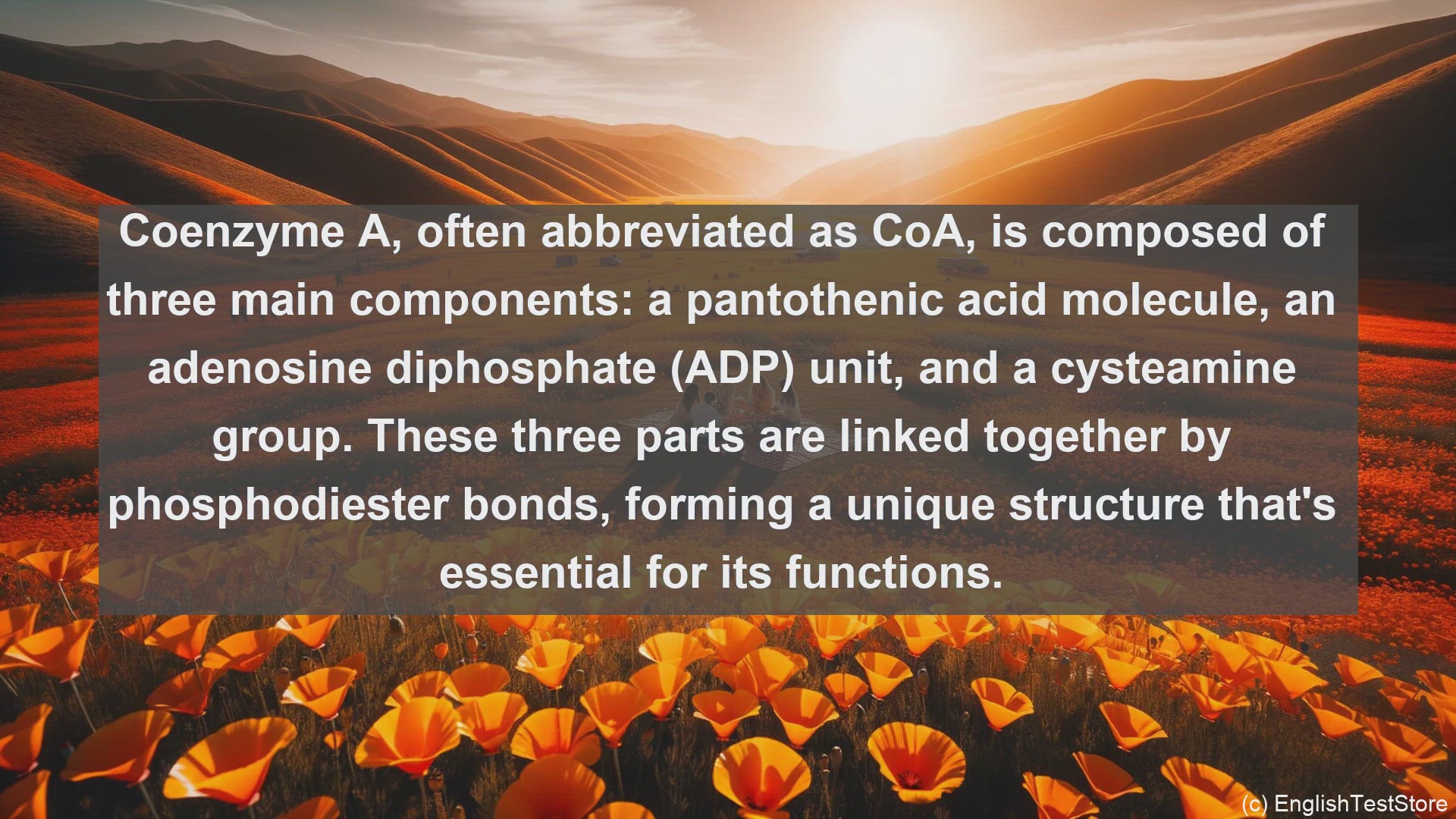 'Video thumbnail for Coenzyme a in science  definition and examples'