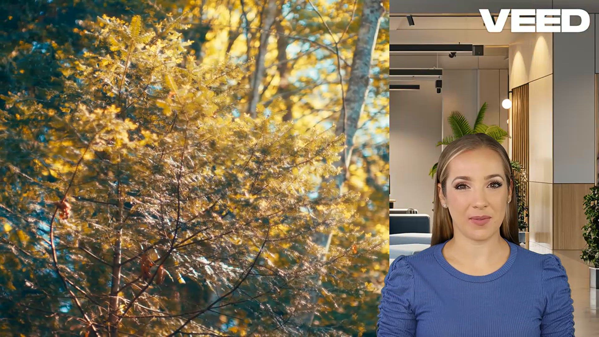 'Video thumbnail for 20 Biblical Meanings of Seeing Deer'