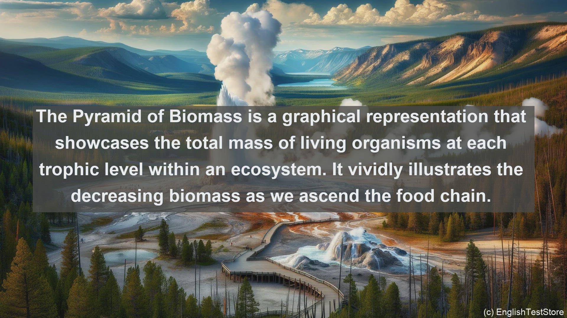 'Video thumbnail for Pyramid of biomass in science  definition and examples'