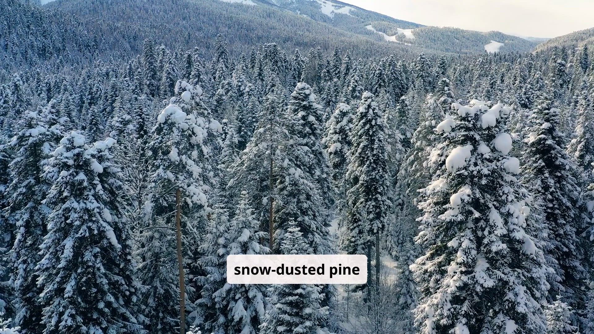 Video thumbnail for savor culinary experiences at  a Canadian ski resorts