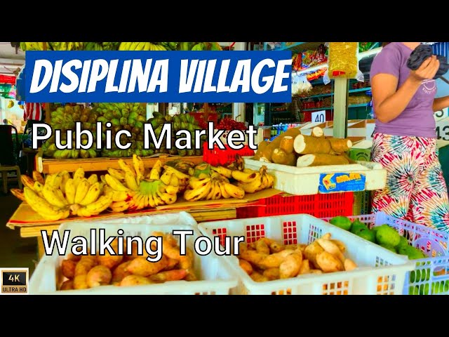 Video thumbnail for Exploring DISIPLINA VILLAGE | Houses | Market | Public School | Happy People | WALKING TOUR