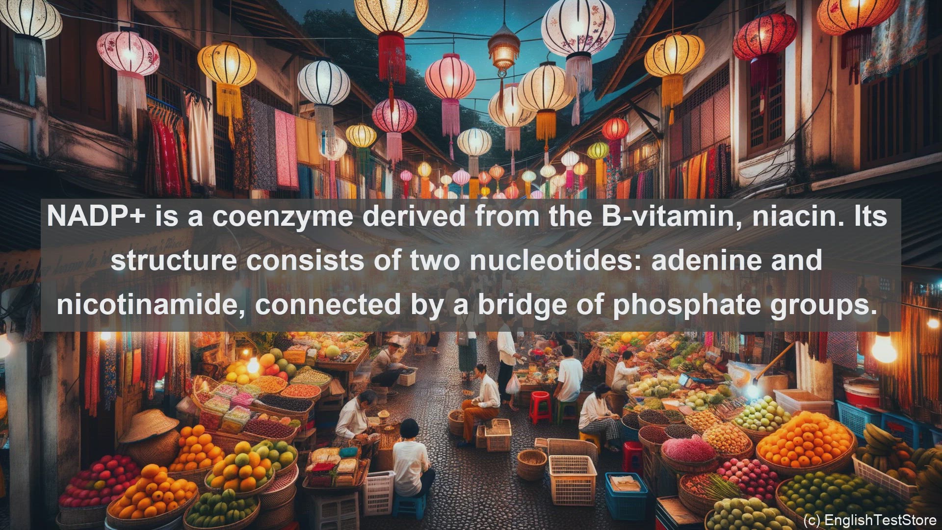 'Video thumbnail for Nicotinamide adenine dinucleotide phosphate in science  definition and examples'