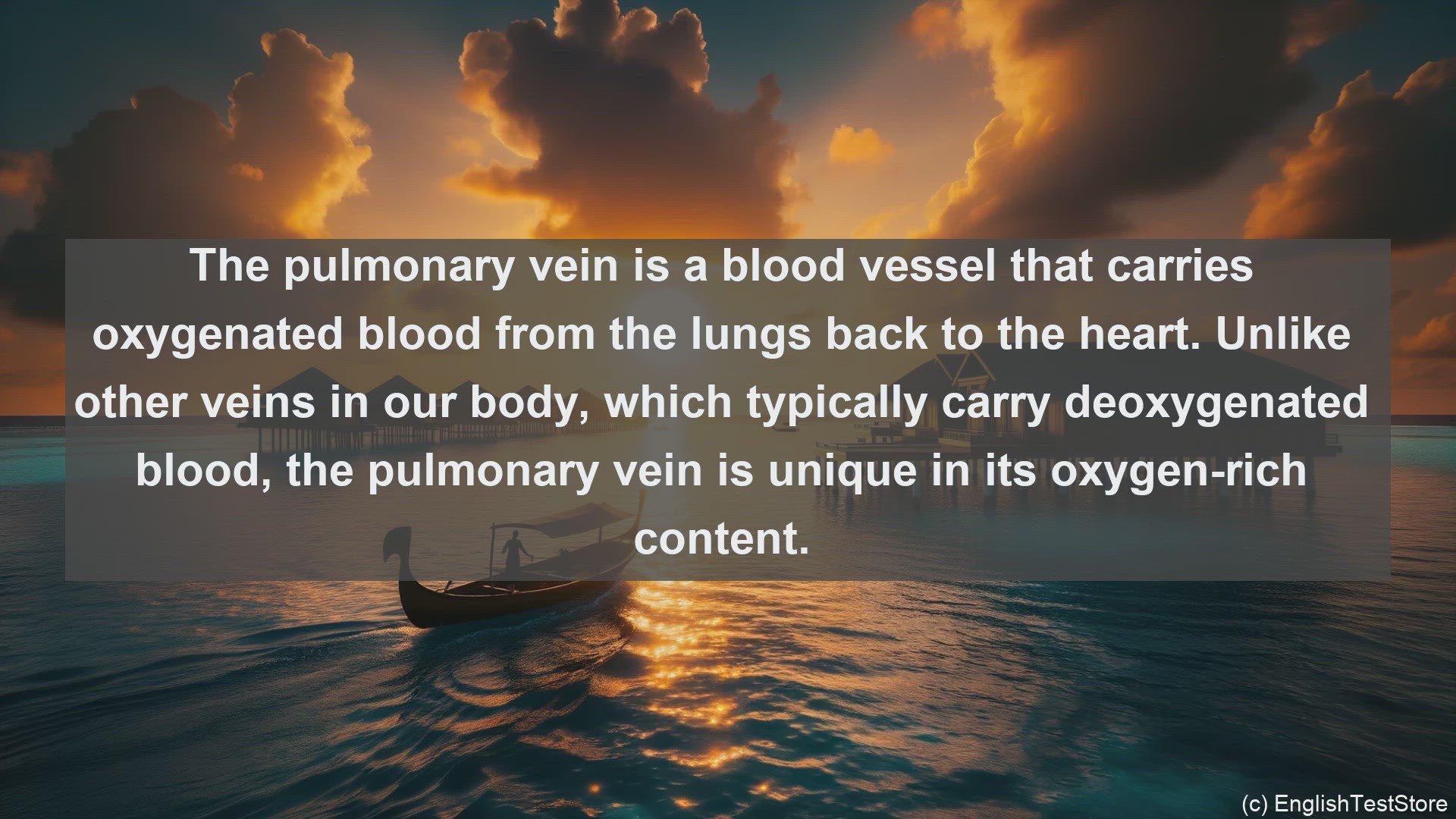 'Video thumbnail for Pulmonary vein in science  definition and examples'