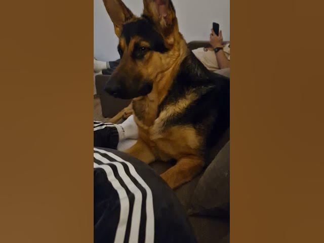 Video thumbnail for 👀