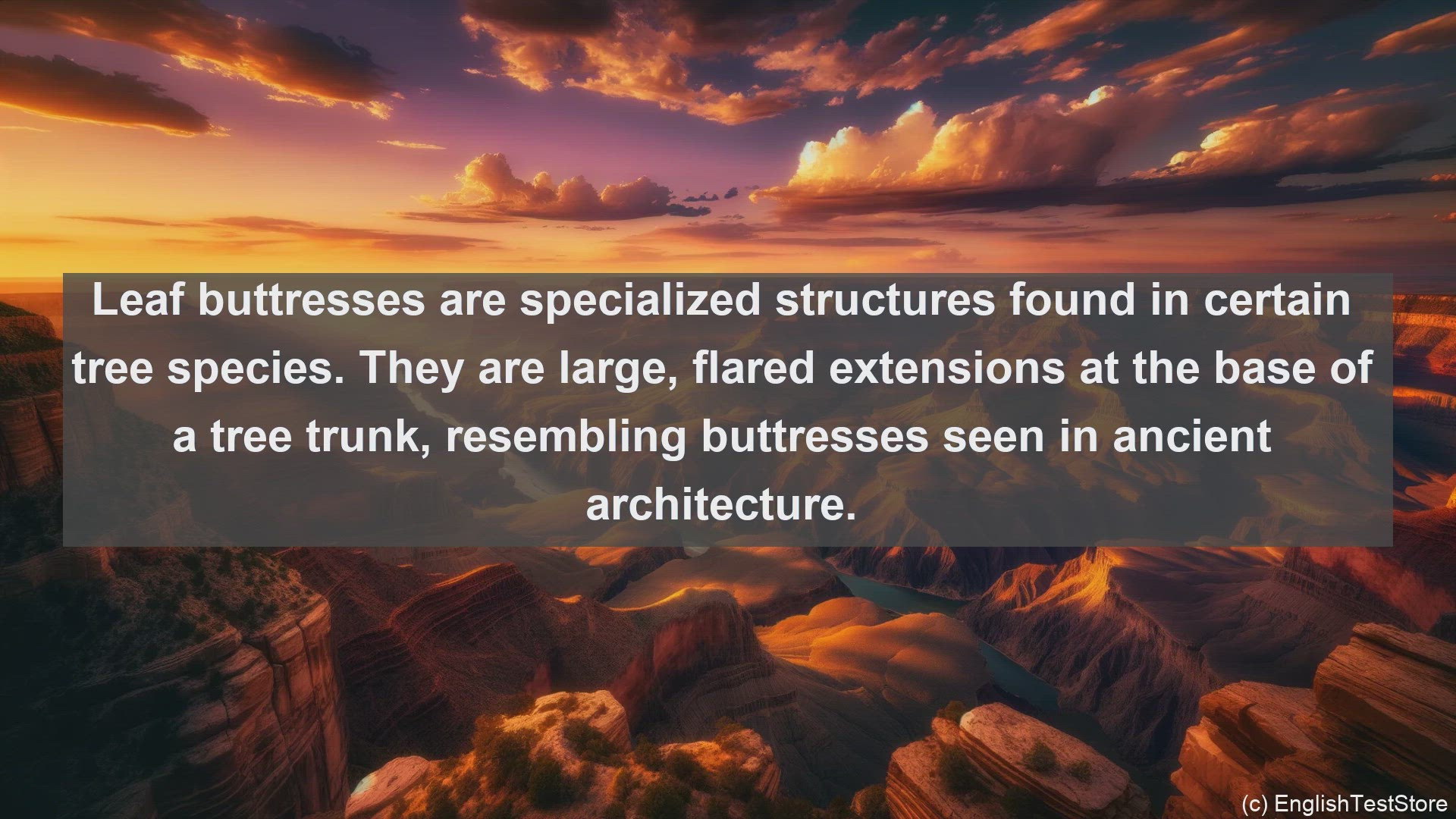 'Video thumbnail for Leaf buttress in science  definition and examples'