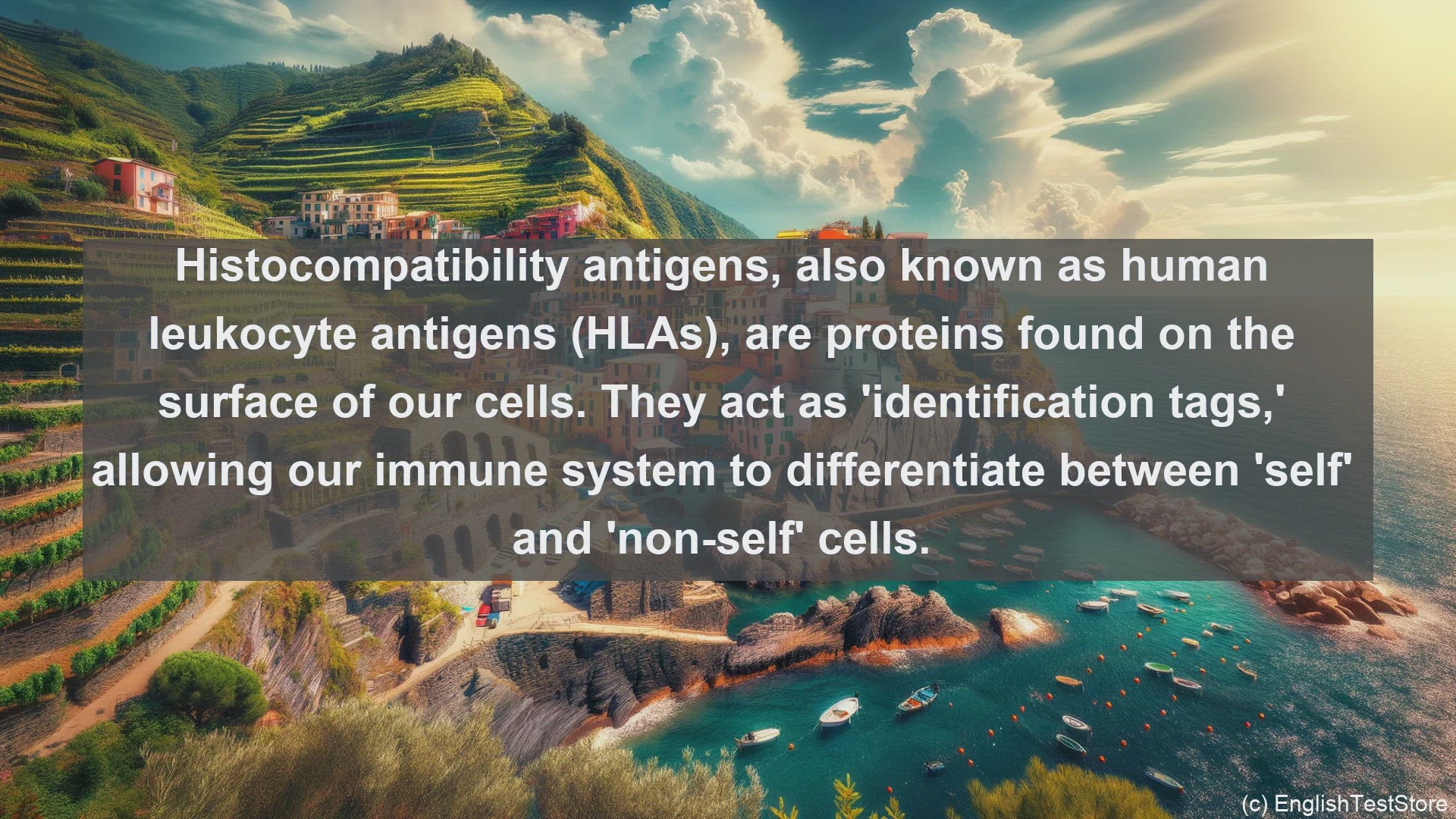 'Video thumbnail for Histocompatibility antigens in science  definition and examples'