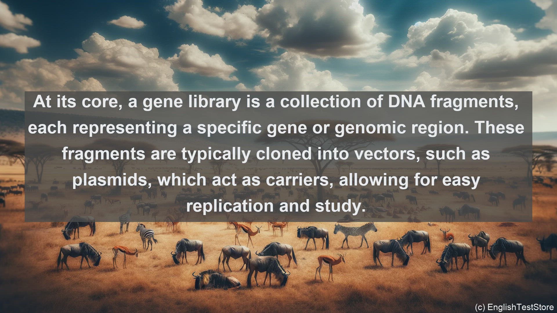 'Video thumbnail for Gene library in science  definition and examples'