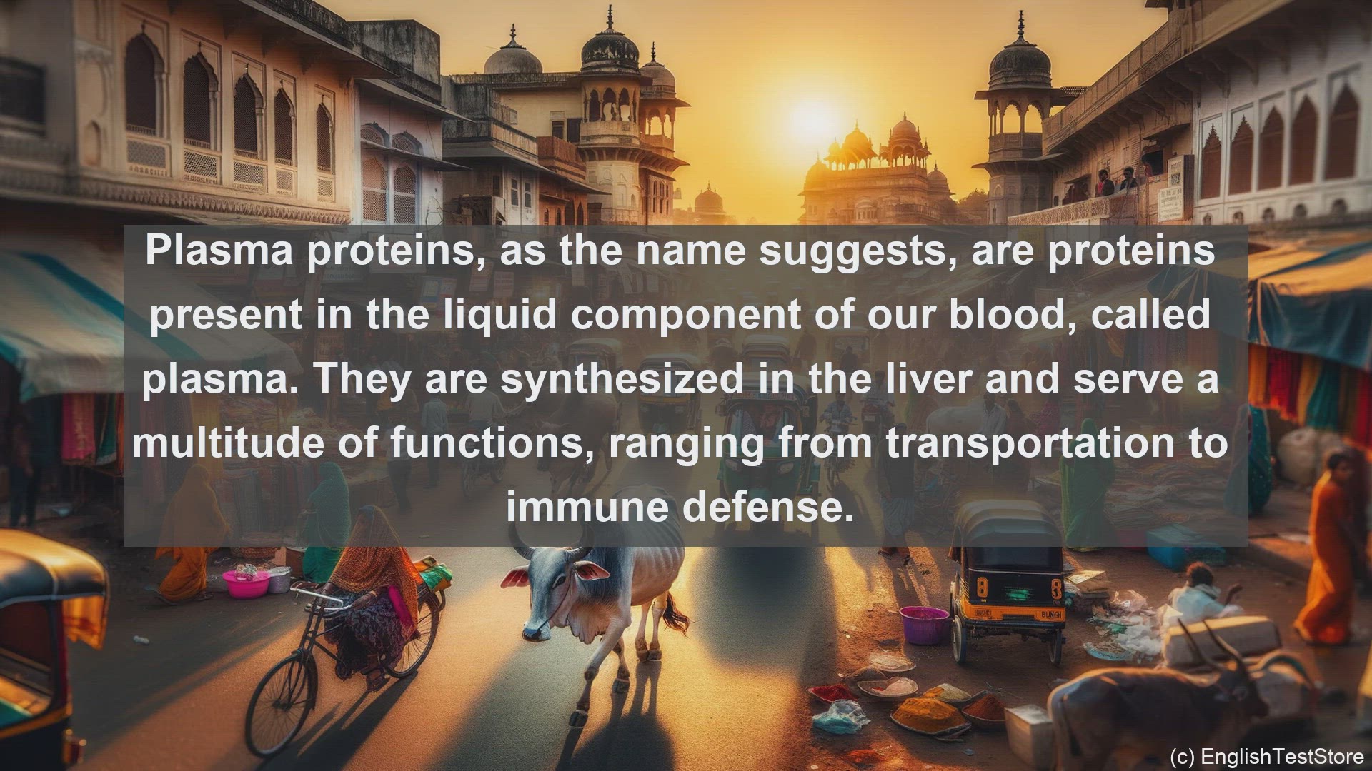'Video thumbnail for Plasma protein in science  definition and examples'