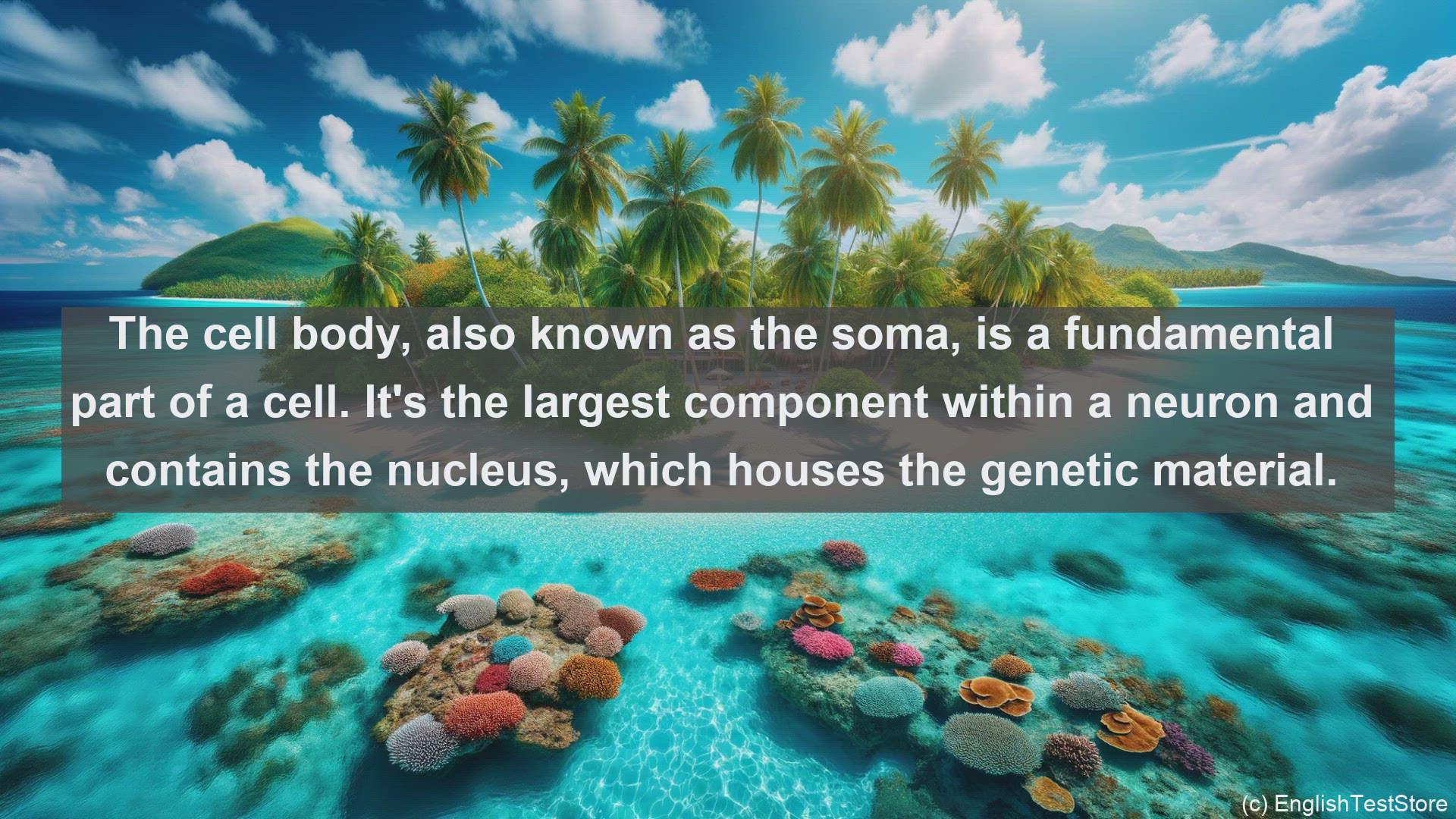 'Video thumbnail for Cell body in science  definition and examples'