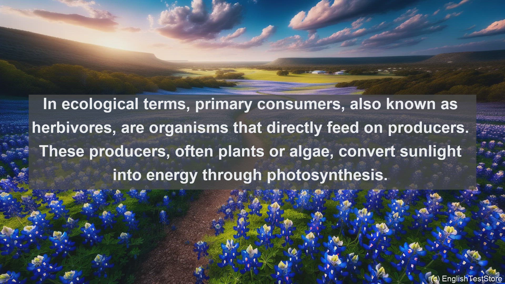 'Video thumbnail for Primary consumer in science  definition and examples'