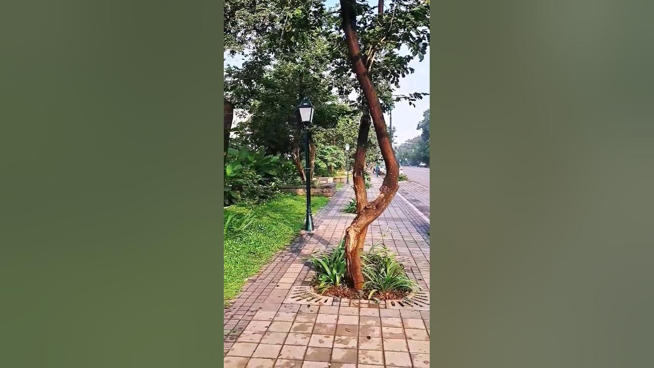 Video thumbnail for Morning @ Happy Street, Baramati | Pencil Chauk | VP College | Vidyanagari | Beautiful Nature | Rain