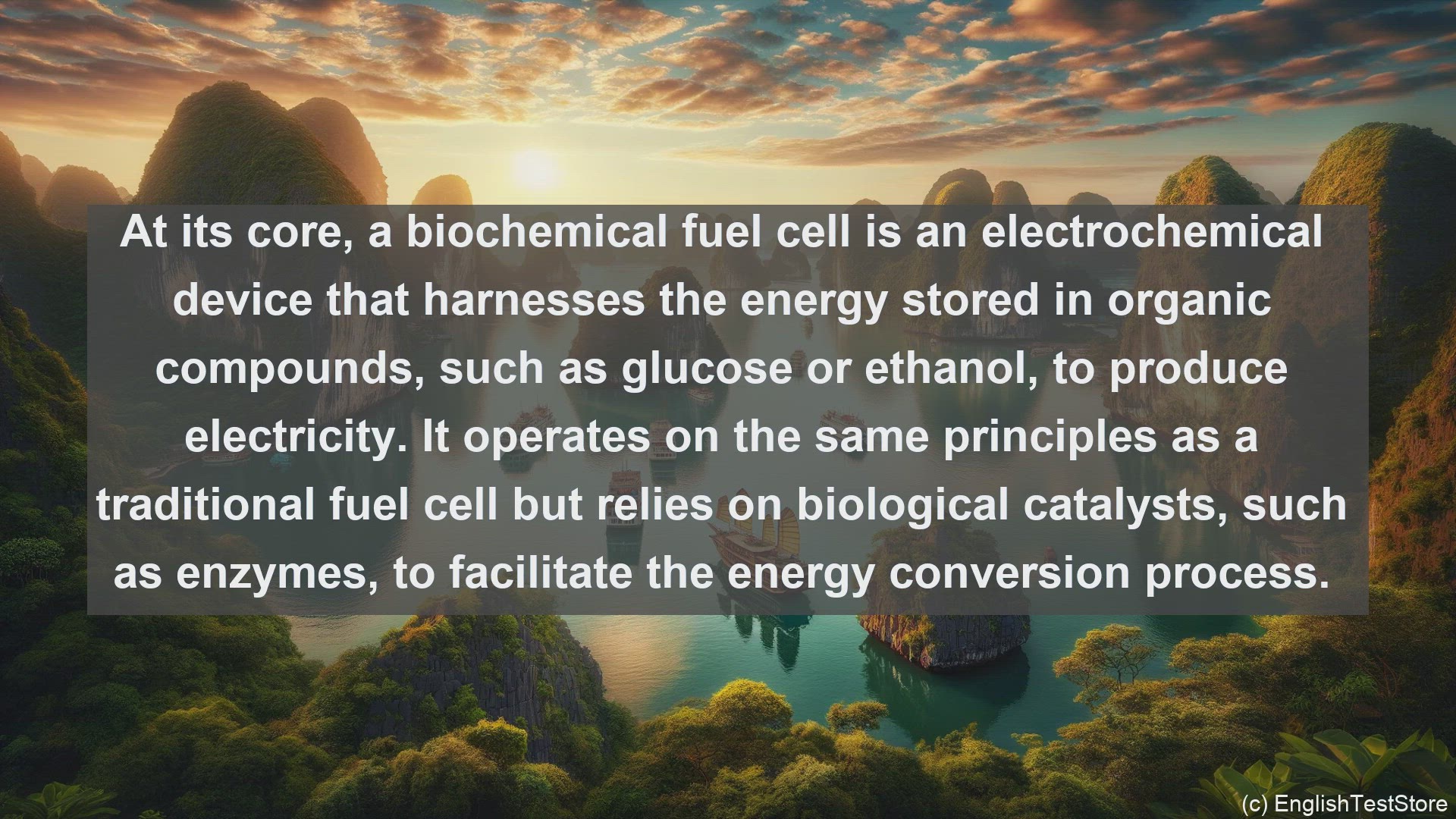 'Video thumbnail for Biochemical fuel cell in science  definition and examples'