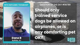 Video thumbnail for Dana B thinks people should have what makes them comfortable... within reason.