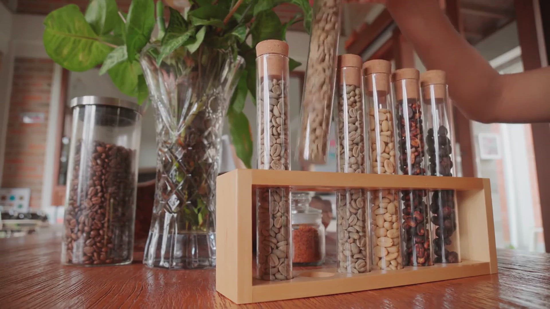 'Video thumbnail for Six Smart Ways to Recycle Food Waste in the Garden'