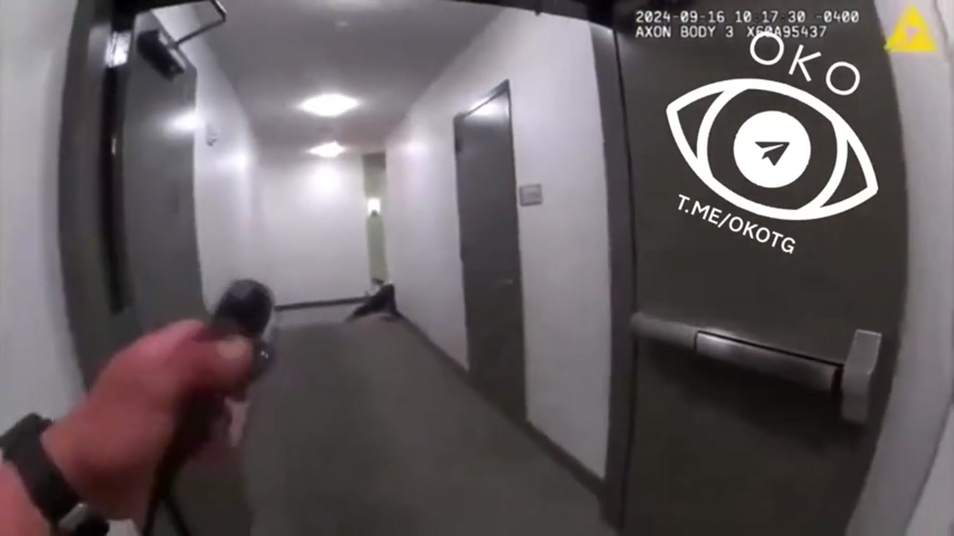 Video thumbnail for Wirus wścieklizny (Rabies)