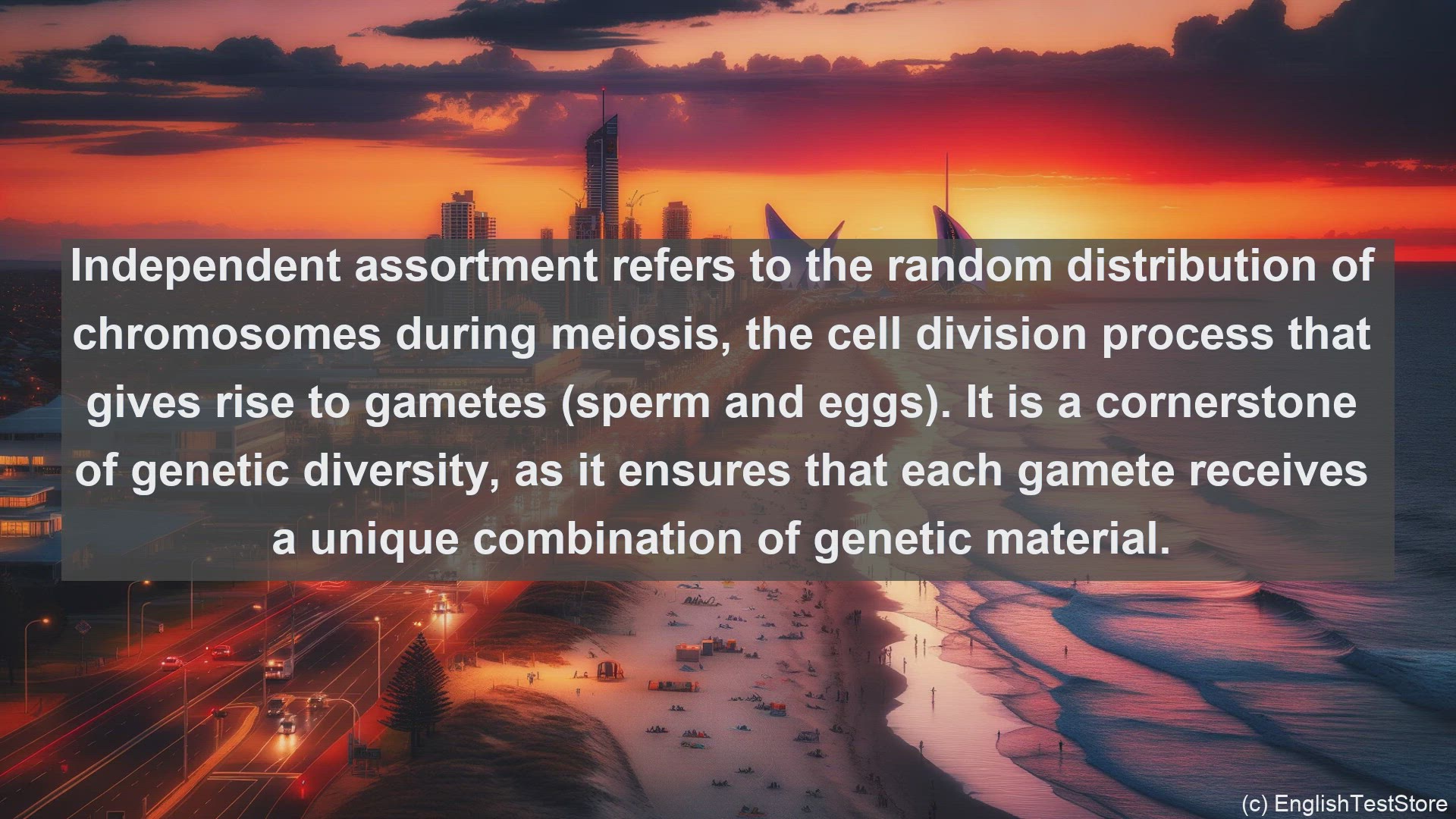 'Video thumbnail for Independent assortment in science  definition and examples'