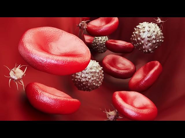 Video thumbnail for Blood Clots in Lungs: How to Recognize and Reduce Risk
