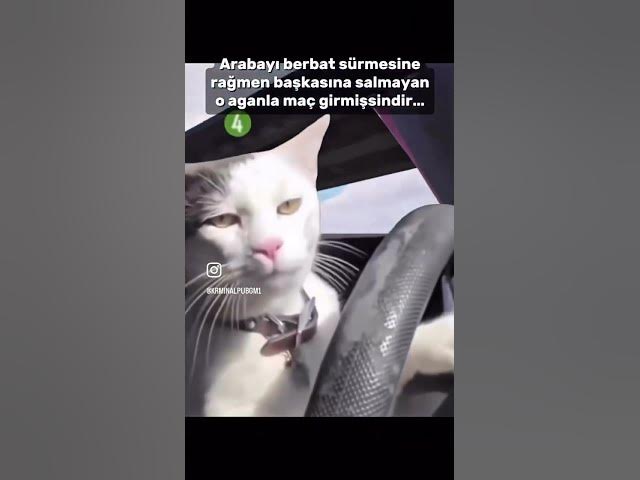 Video thumbnail for Number 4 heavy driver funny #pubgmobile #pubgultimate #pubgfunny #pubgfunny #reels #funydriving