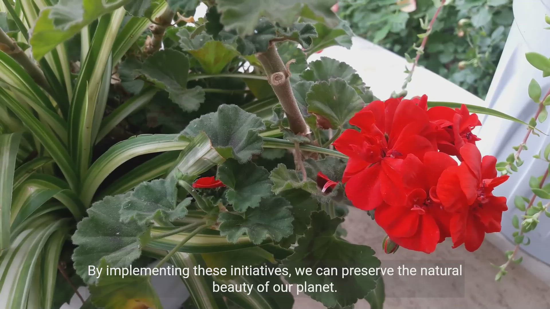 'Video thumbnail for The Power of Environmental Initiatives'