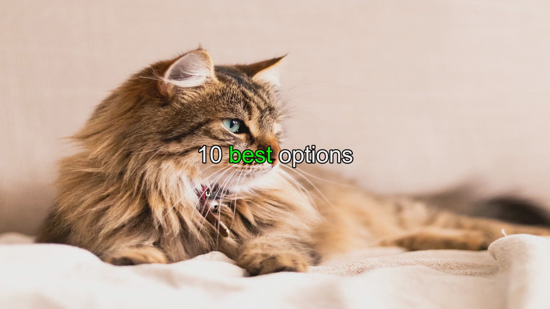 Can You Sleep on Top of an Electric Blanket? (And Other Questions