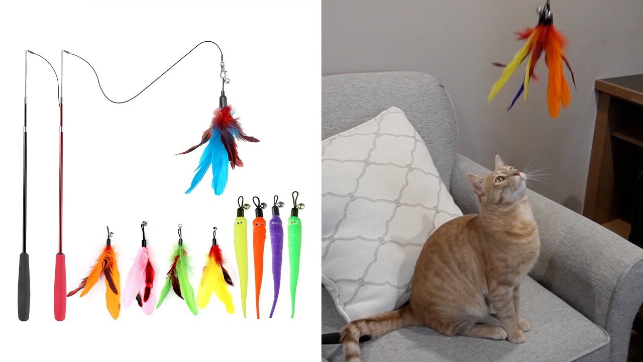 'Video thumbnail for MeoHui Retractable Cat Wand Toy Review'
