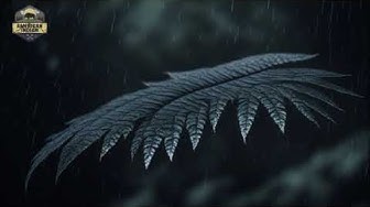 'Video thumbnail for Dreamtime Lullabies: Native American Music for Sleep'