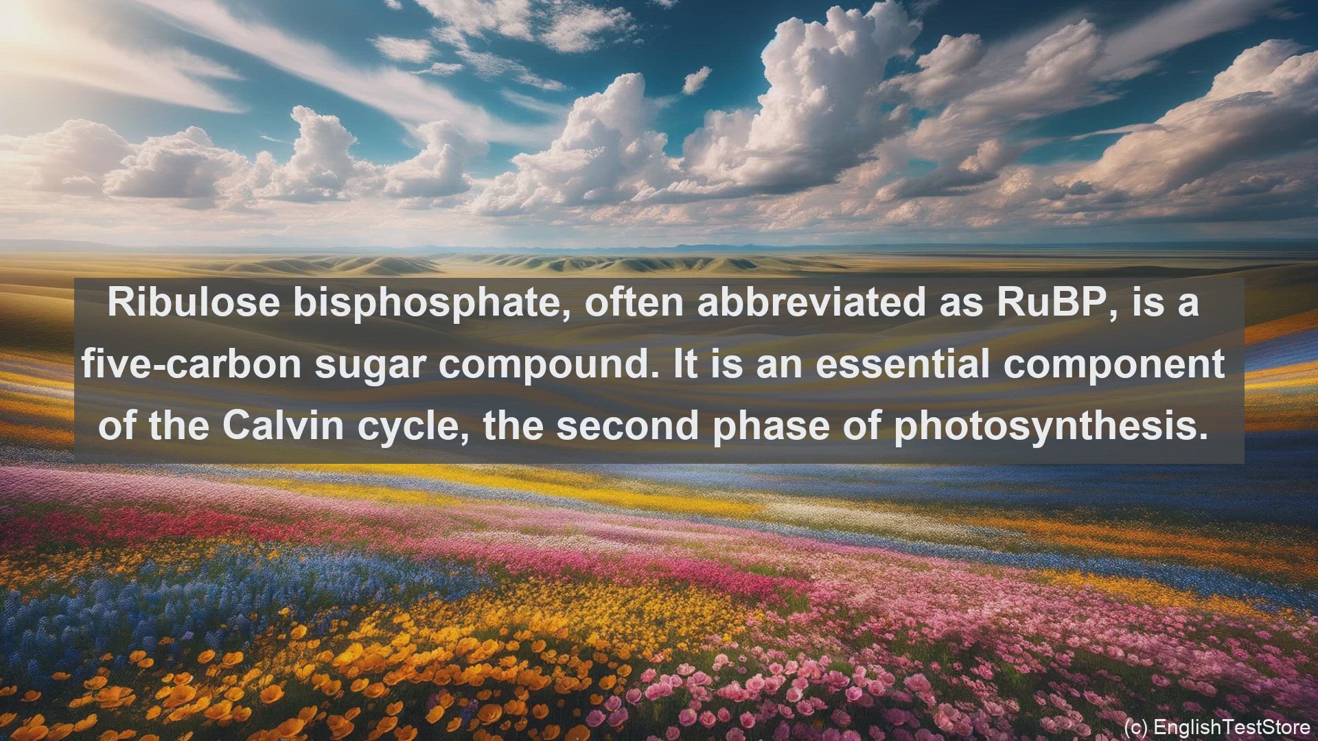 'Video thumbnail for Ribulose bisphosphate in science  definition and examples'