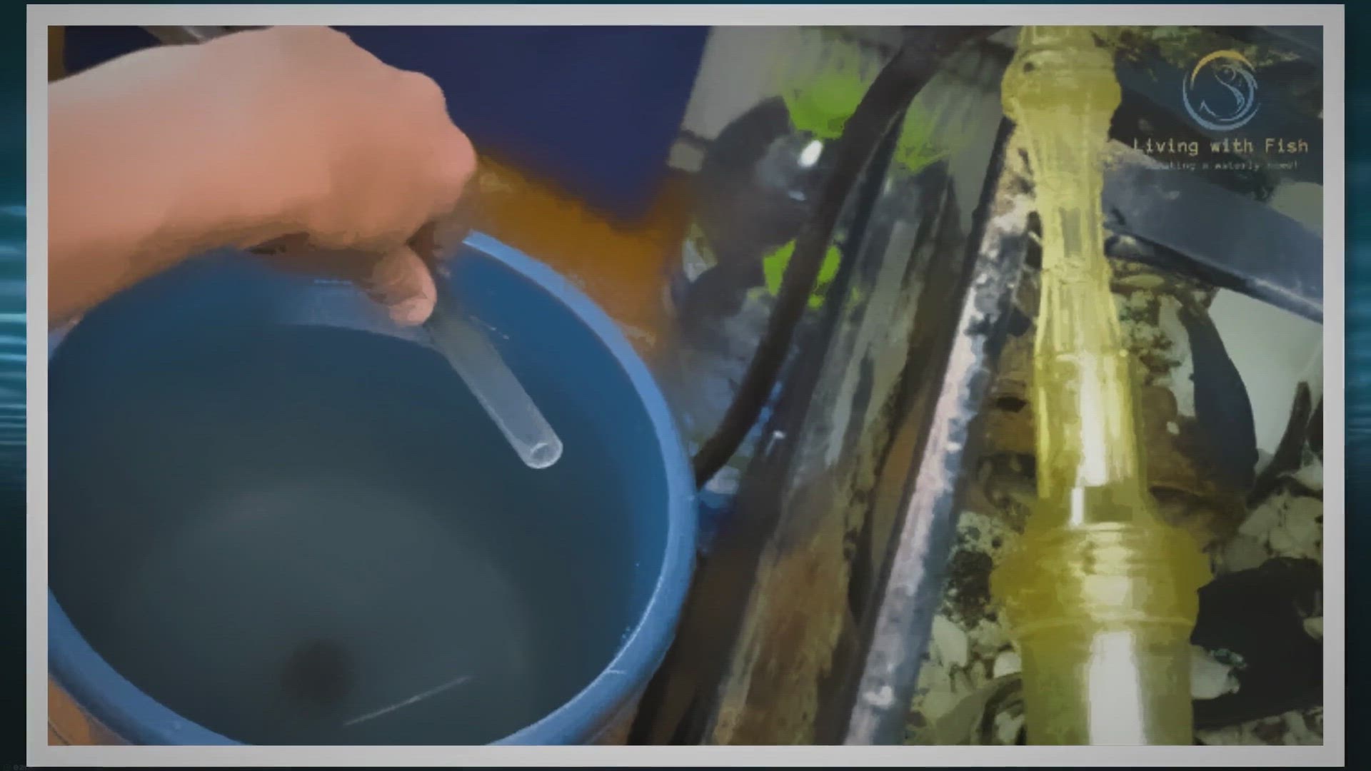 Video thumbnail for Aquarium Water Change Frequency: A Guide for Optimal Health