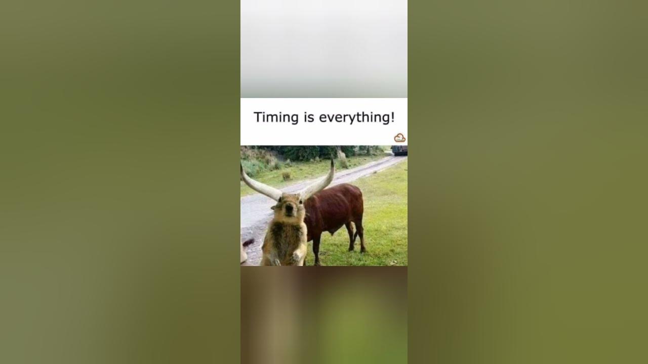 'Video thumbnail for funny memes that will make you laugh #437 || legend memes || funny relatable memes 😃 #shorts'