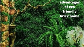 Video thumbnail for Advantages Of Eco Friendly Brick Home