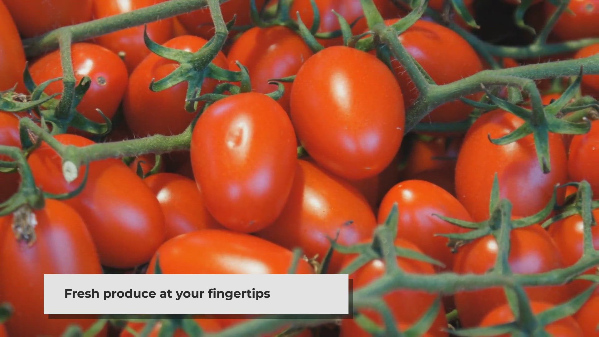 Video thumbnail for Harvesting Joy: Exploring New Jersey's 'Pick Your Own' Farms