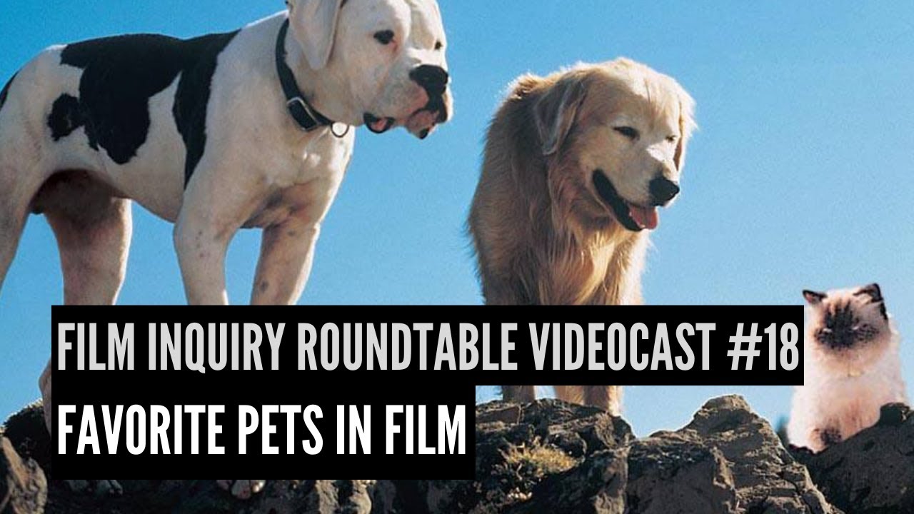 'Video thumbnail for Film Inquiry Roundtable Videocast #18: Favorite Movie Pets'