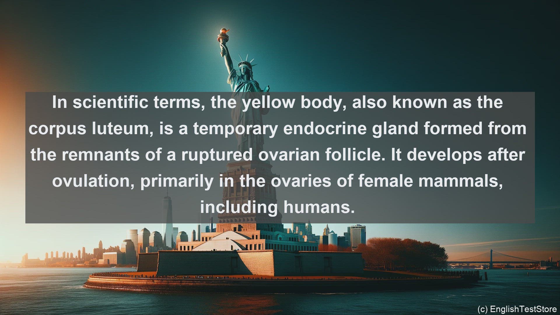 'Video thumbnail for Yellow body in science  definition and examples'