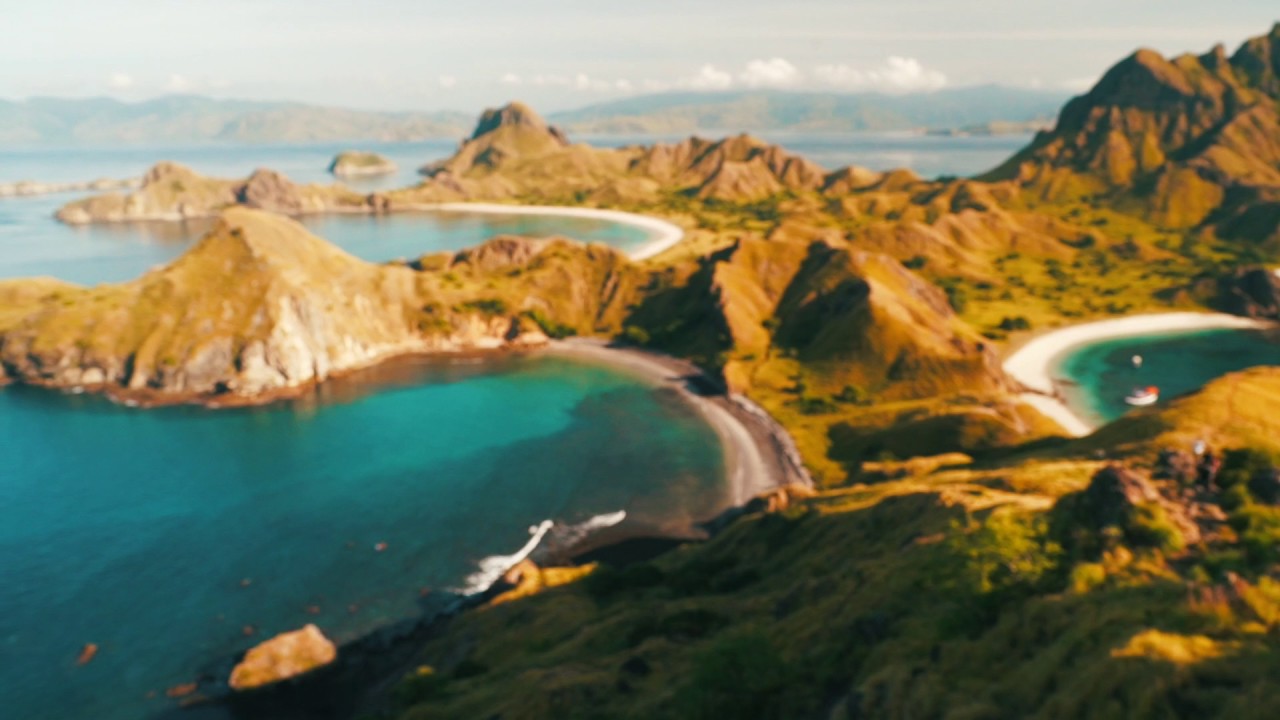 Video thumbnail for SWIMMING WITH MANTA RAYS (Komodo vlog pt 2)