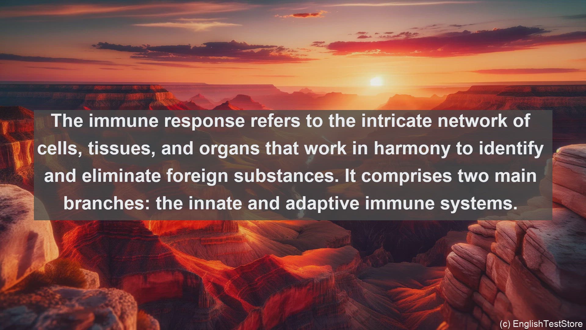 'Video thumbnail for Immune response in science  definition and examples'