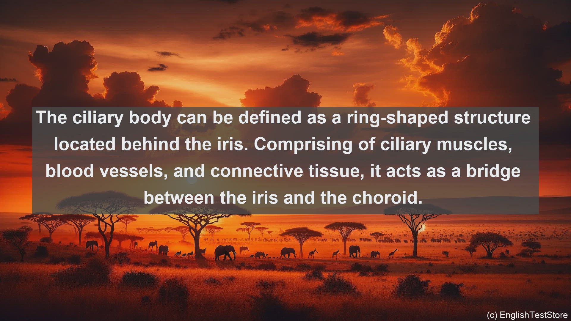 'Video thumbnail for Ciliary body in science  definition and examples'