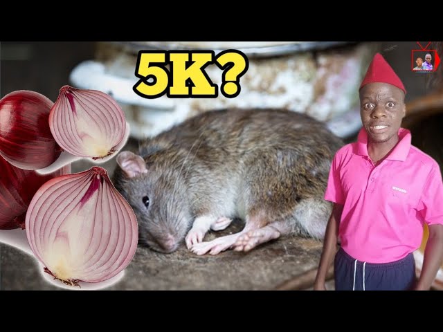 'Video thumbnail for I BOUGHT ONIONS THAT WORTH 5000 TO KILL RATS (vlog 9)'