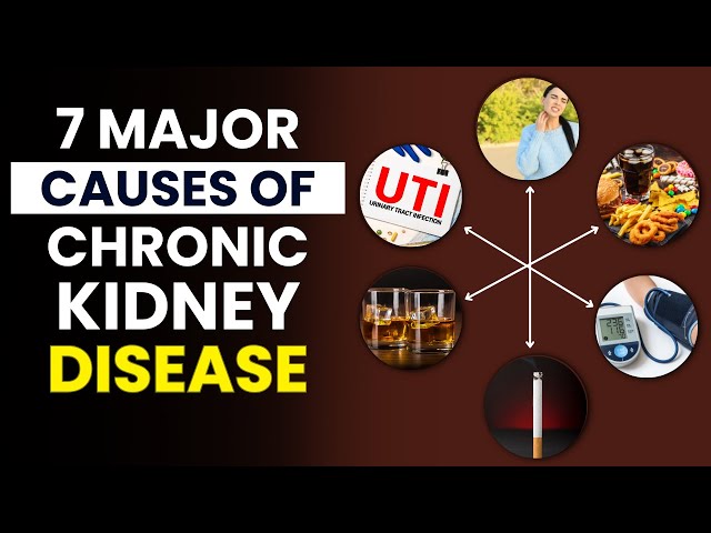 Video thumbnail for 7 Major Causes of Chronic Kidney Disease | Causes of Chronic Kidney Disease | FitWise Daily
