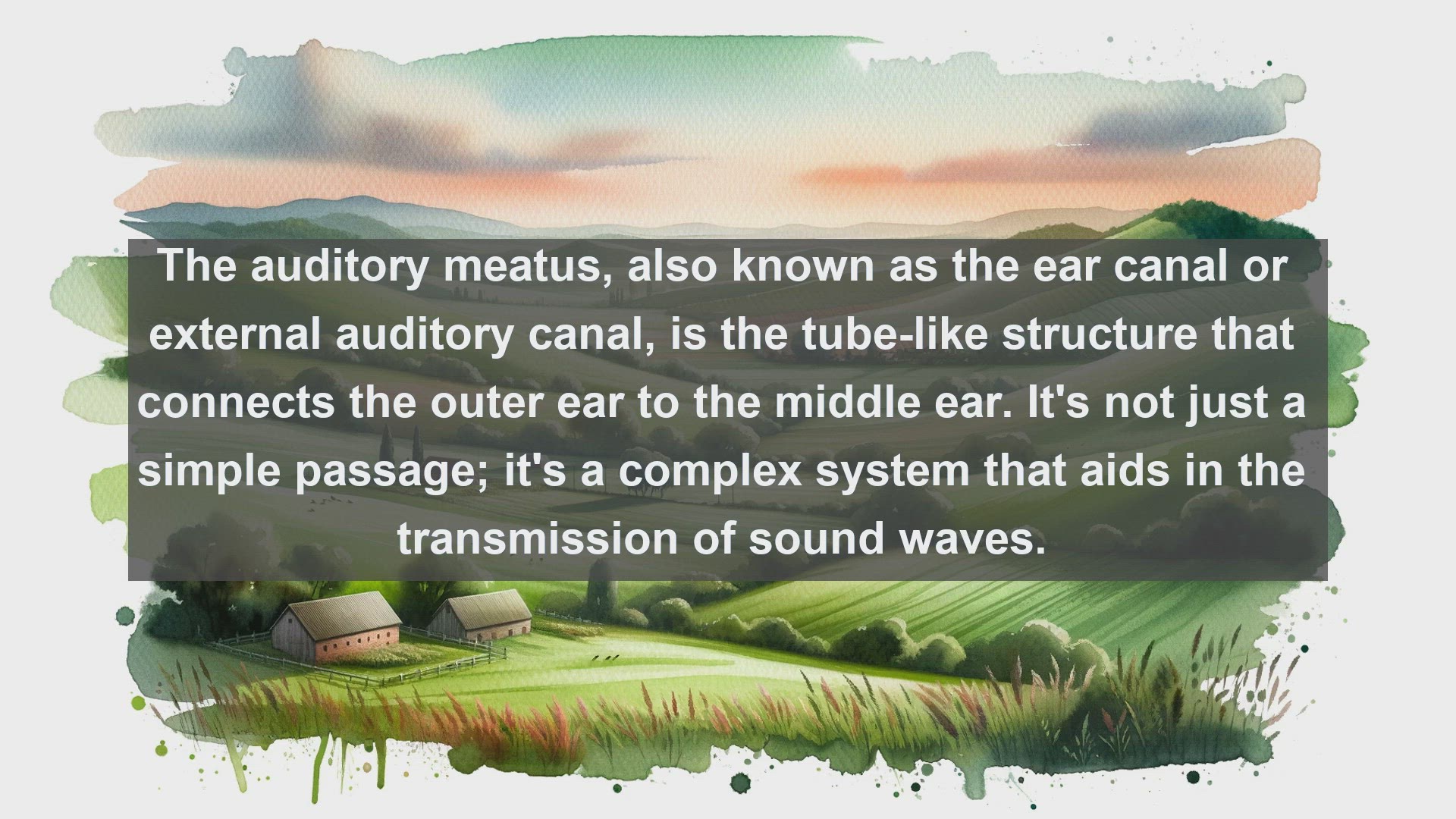 'Video thumbnail for Auditory meatus in science  definition and examples'