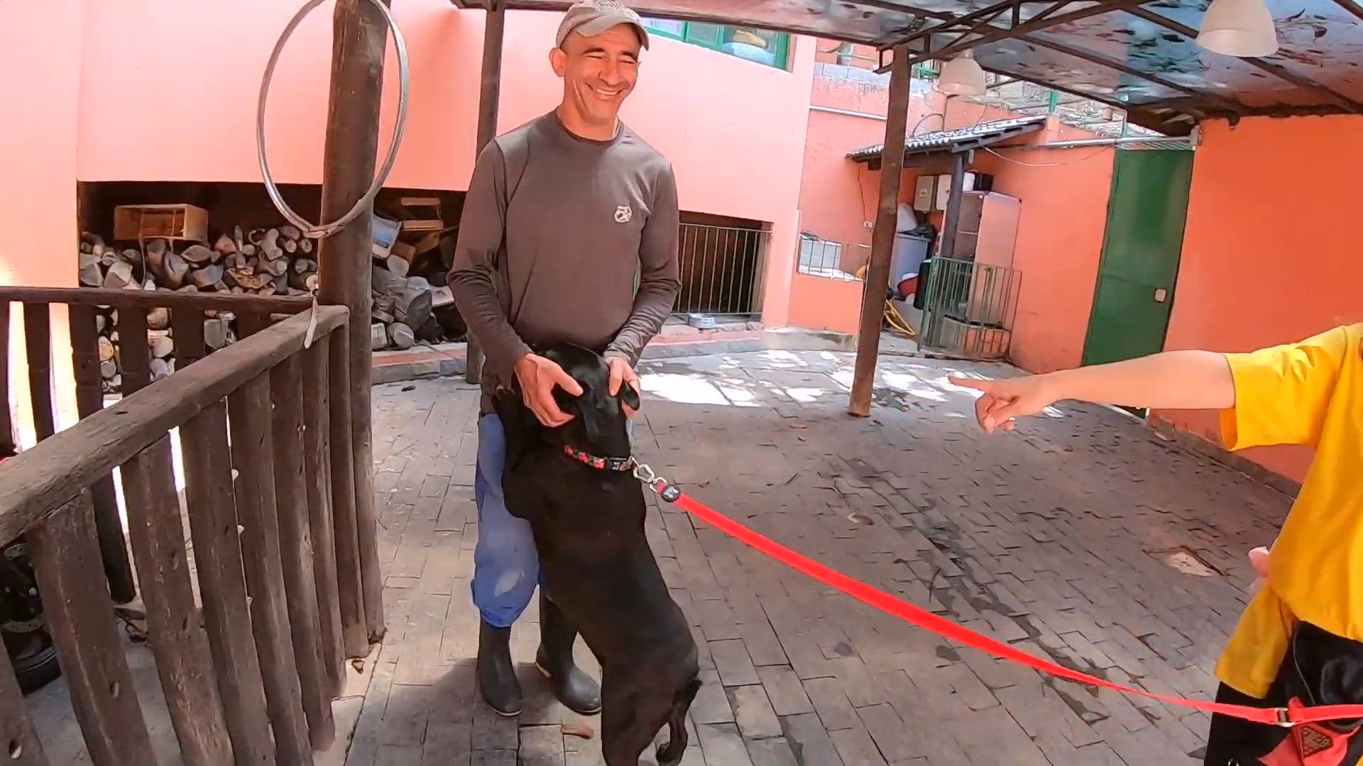 'Video thumbnail for COM ESSA DICA, SEU CÃO NUNCA MAIS VAI PULAR NA VISITA!'