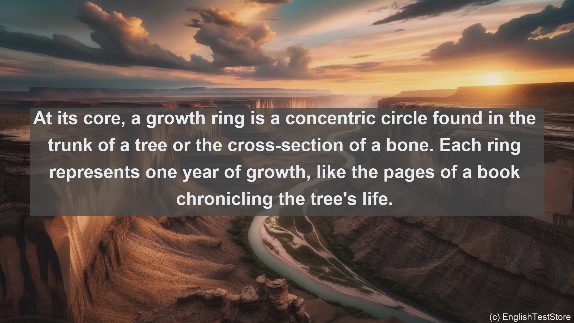 'Video thumbnail for Growth ring in science  definition and examples'
